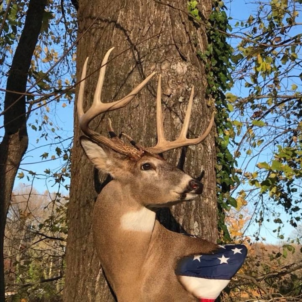 Meet your Posher, Bobby